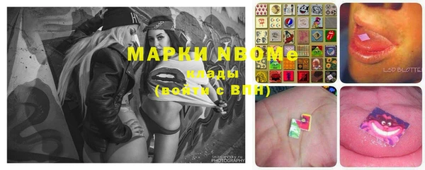 амф Вязьма