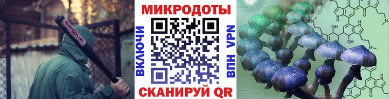 Купить закладки  Кола  Галлюциногенные грибы прущие грибы 